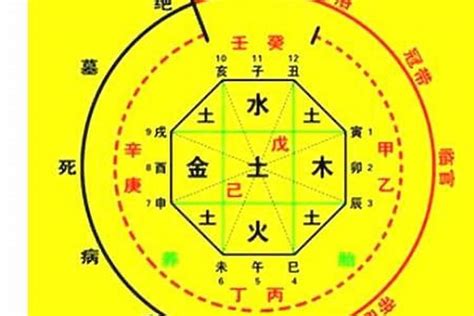 名字算命五行|生辰八字算命、五行喜用神查询（免费测算）